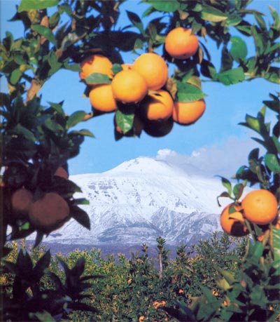 paesaggio-etna-sicilia-aran